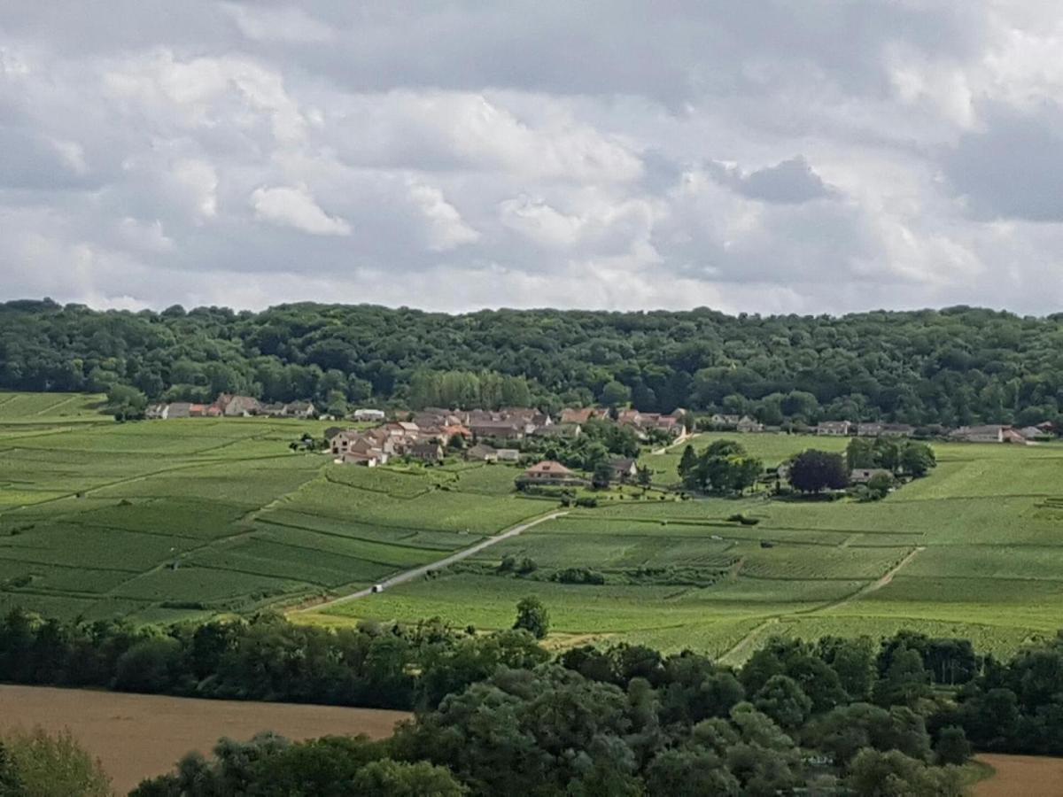 Le Domaine De L Etang Le Merger Oeuilly Dış mekan fotoğraf
